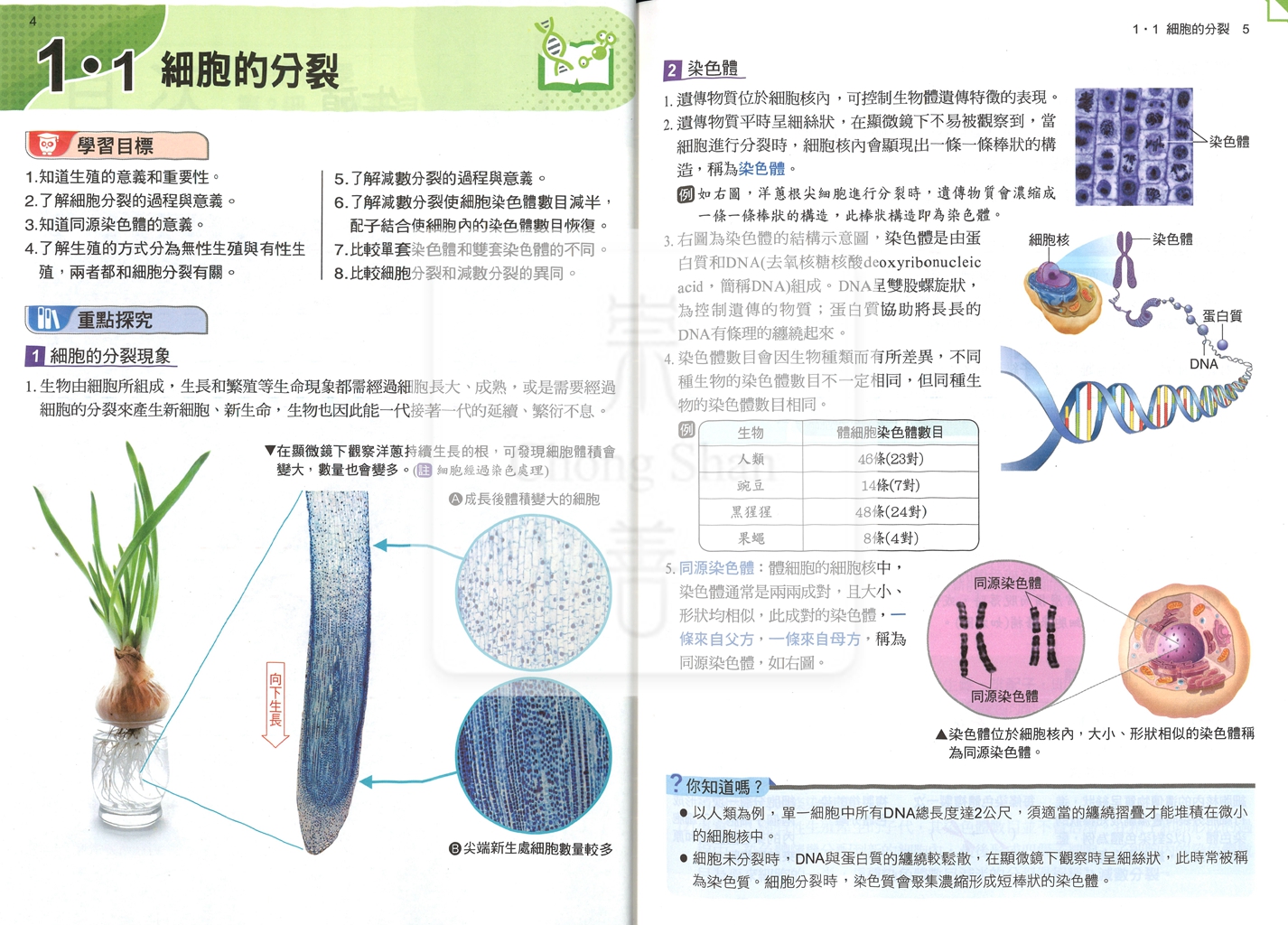 【國中114下】康軒國中學習自修 自然(2)-國一下