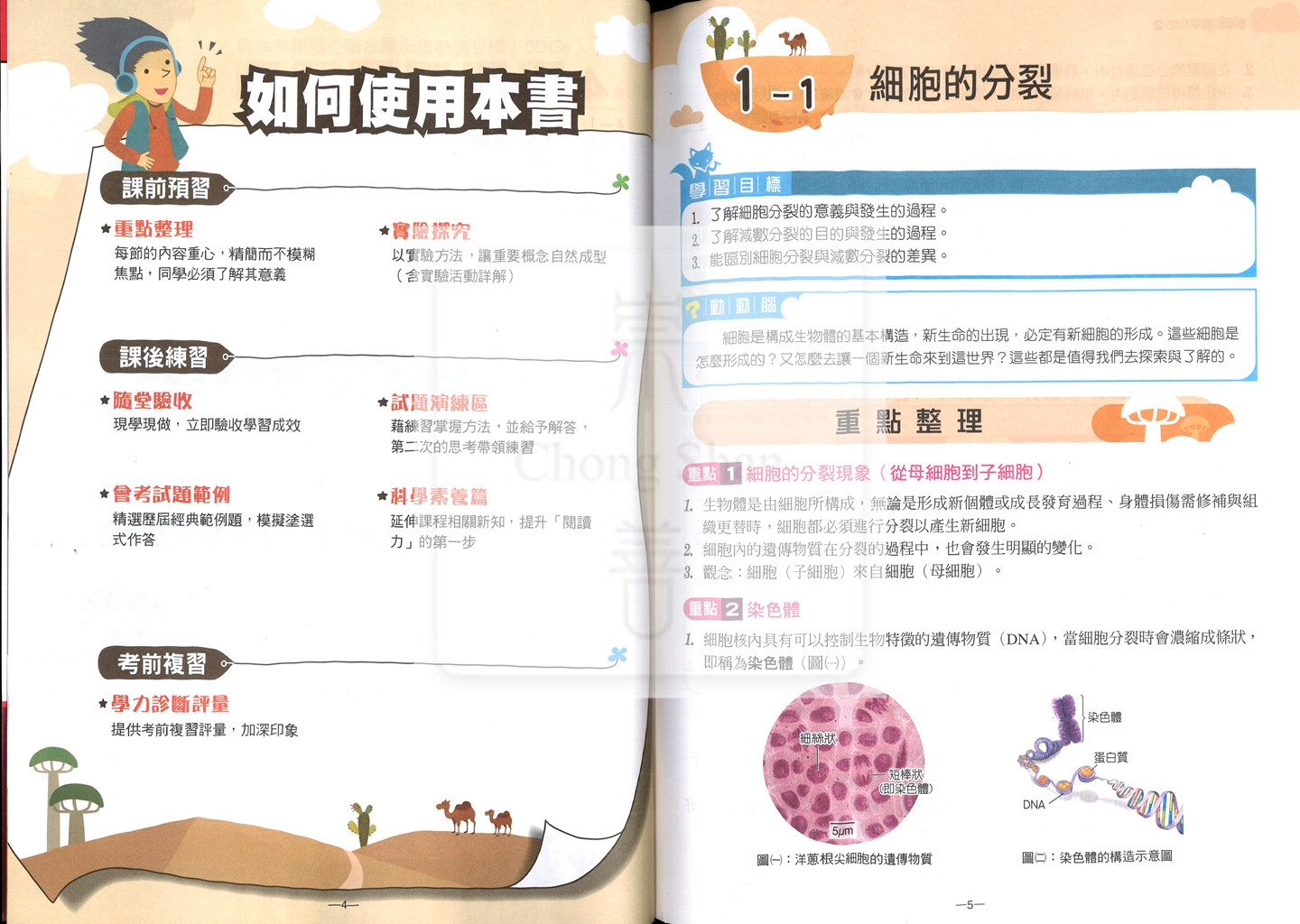 【國ˋ中114下】翰林國中 新無敵自修 自然2-國一下