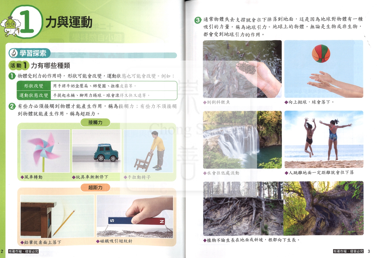 【預購-國小114下】康軒重點複習-自然五下(學用)